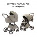 Коляска Skyteo Aurum 3 в 1 Арт. 766