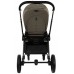 Коляска Pituso Mayla Lux 2 в 1