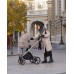 Коляска Carrello Vector 2 в 1 CRL 6550 