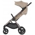 Коляска Anex IQ Premium 2 в 1