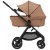 Sienna IQ - 11- NT - DNA