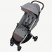 Коляска Anex IQ Premium 2 в 1