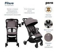 Коляска для Самолёта Pituso Pera Carbon 